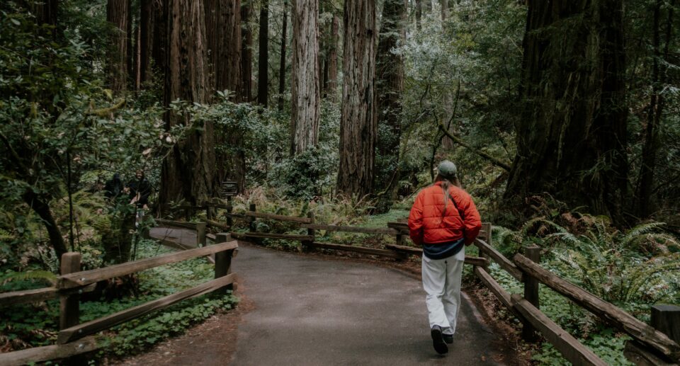 Urwany ślad – Jon Billman